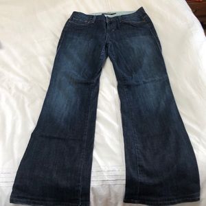 Joes jeans size 28